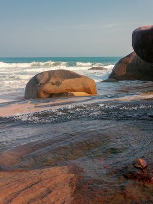 PARADISE 07