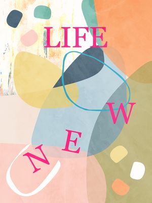 COLORFUL NEW LIFE