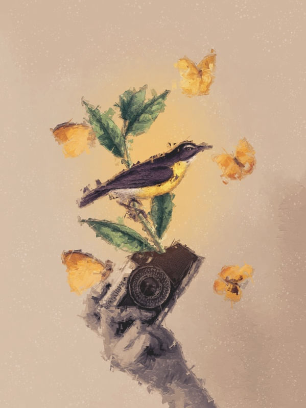 PRIMAVERA- POESIA VISUAL