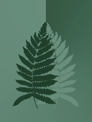 ANSEIOS - OBRA 5