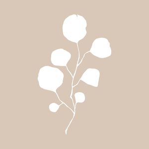 ANSEIOS - OBRA 10-1