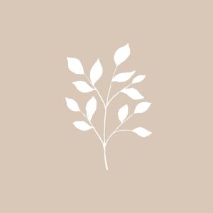 ANSEIOS - OBRA 10-2