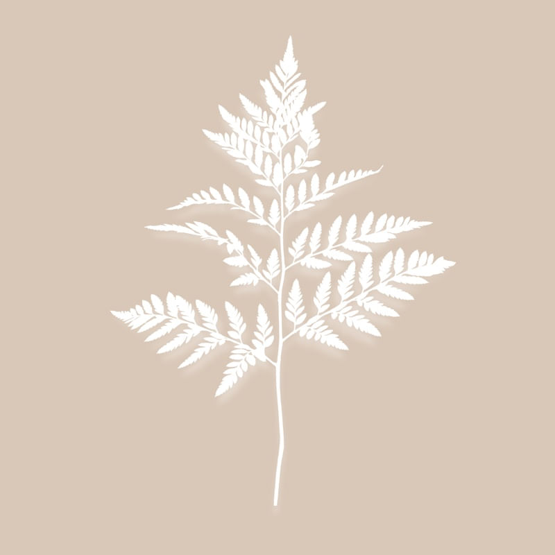 ANSEIOS - OBRA 10-3