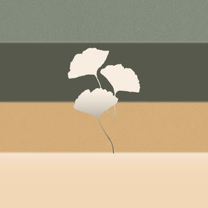 ANSEIOS - OBRA 14-1
