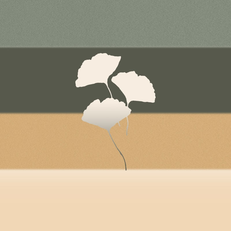 ANSEIOS - OBRA 14-1