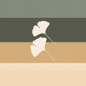 ANSEIOS - OBRA 14-2