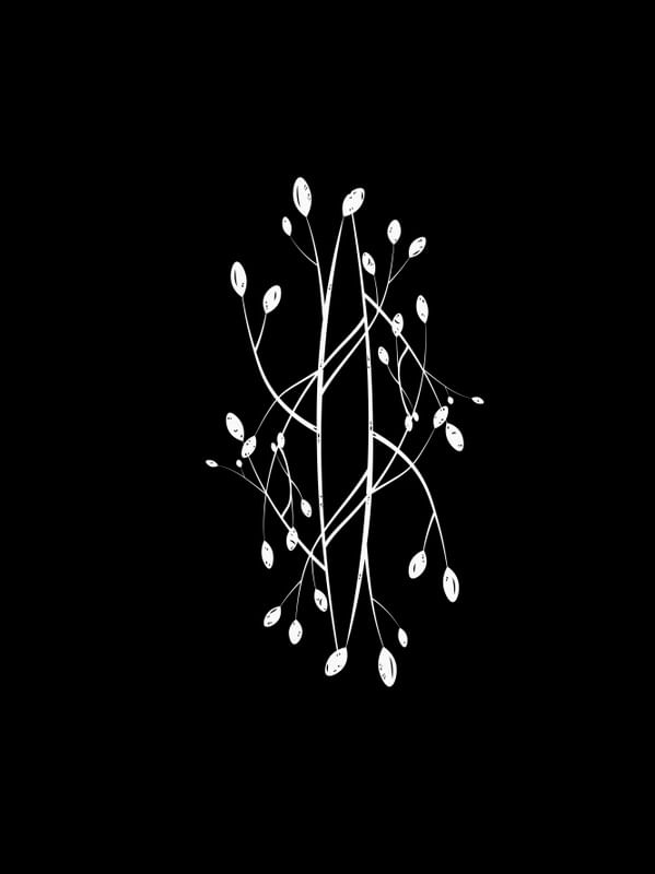ANSEIOS - OBRA 16