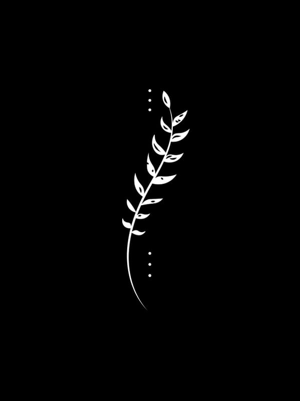 ANSEIOS - OBRA 16-2