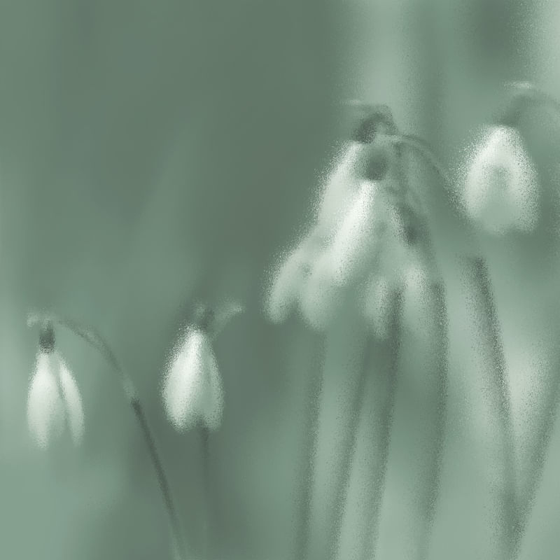 SECRET GARDEN- OBRA 1