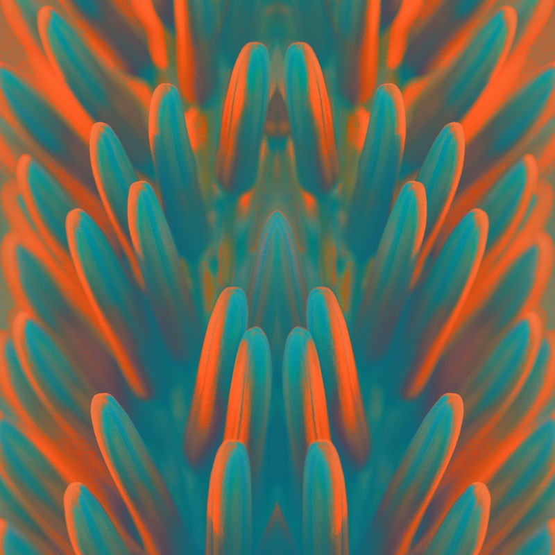 SECRET GARDEN- OBRA 4