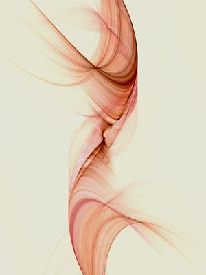 FRACTAL - RETRATO DO MOVIMENTO 1