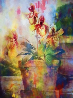 PLANTA DO MEU JARDIM