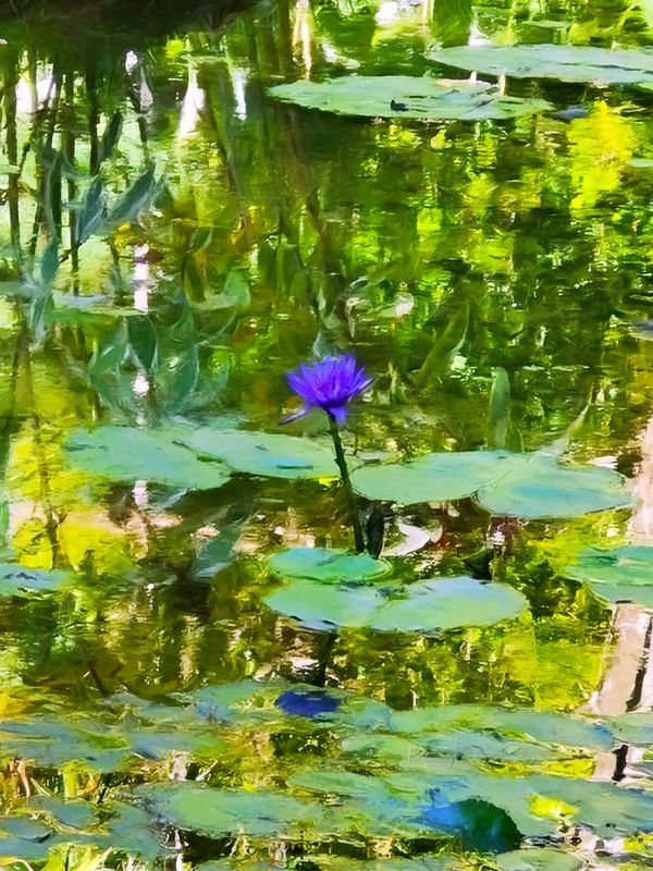LEMBRANDO MONET