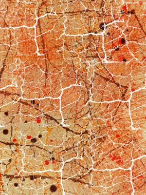 MARCAS, ABSTRATO