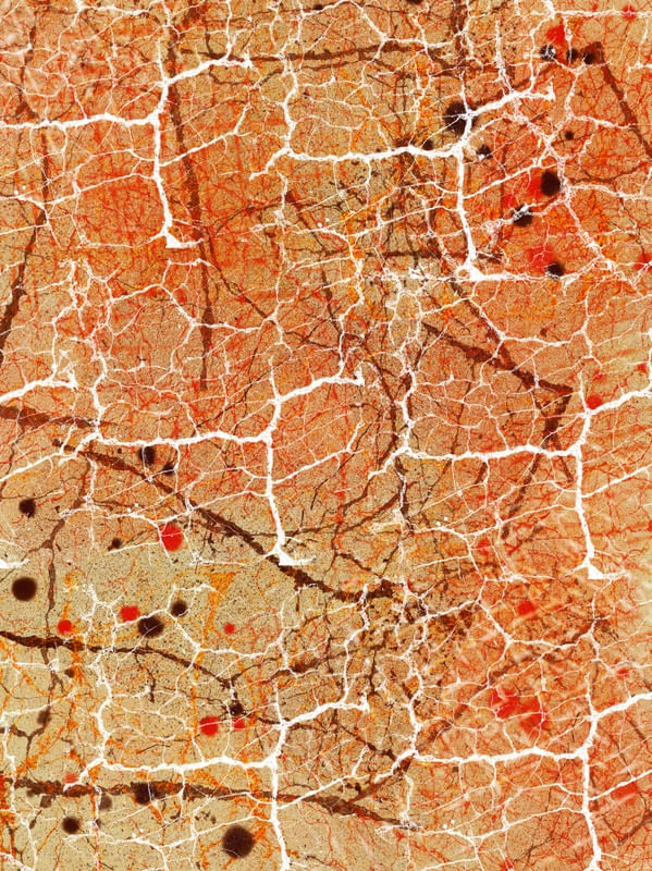 MARCAS, ABSTRATO
