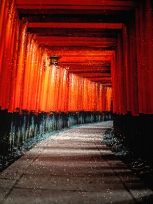 PLACES -FUSHIMI INARI TAISHA