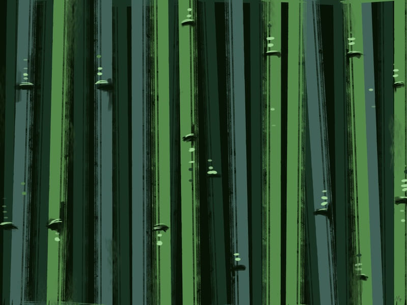 BAMBU IMPERIAL