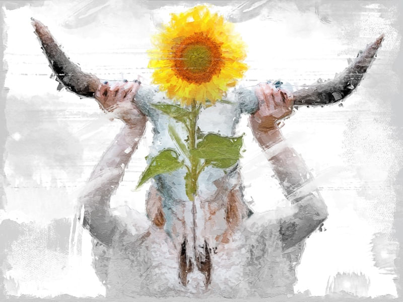 SUNFLOWER HEAD