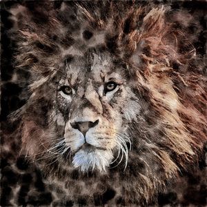 LEONE
