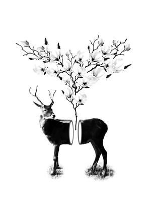 CERVO EM FLOR