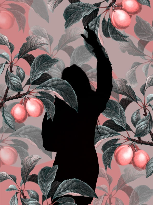 URBAN JUNGLE - OBRA 9