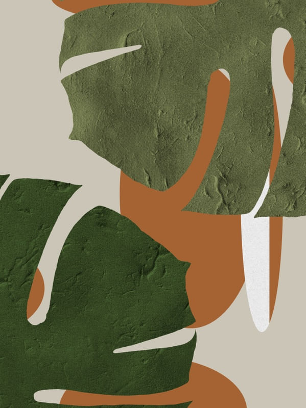 URBAN JUNGLE - OBRA 13