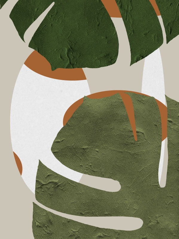 URBAN JUNGLE - OBRA 11