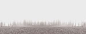 BIOMA - OBRA 5