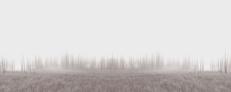 BIOMA - OBRA 5
