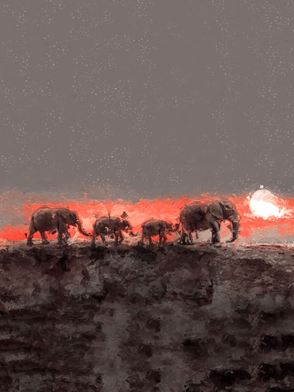 REAL NATURE 4