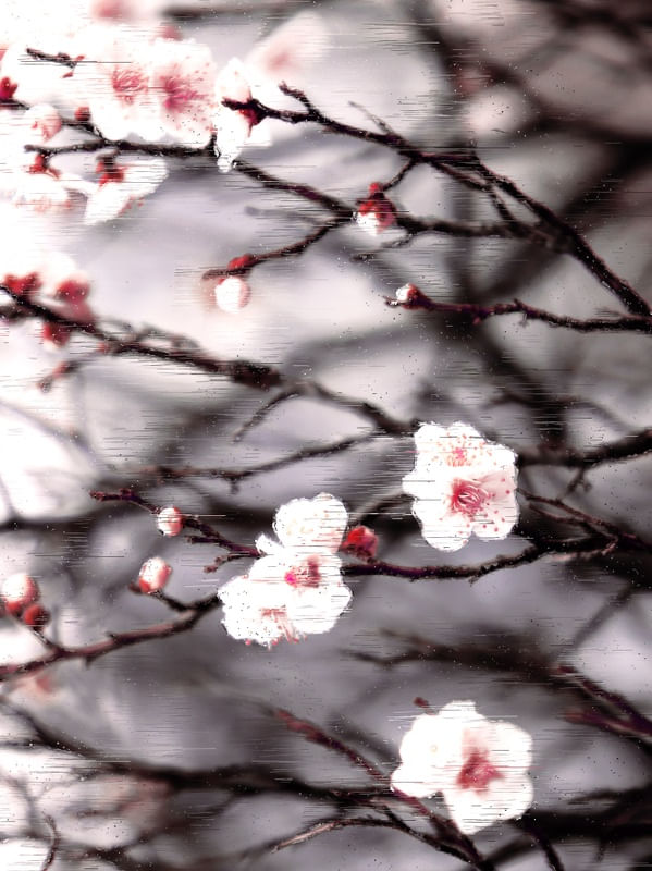 REAL NATURE 7