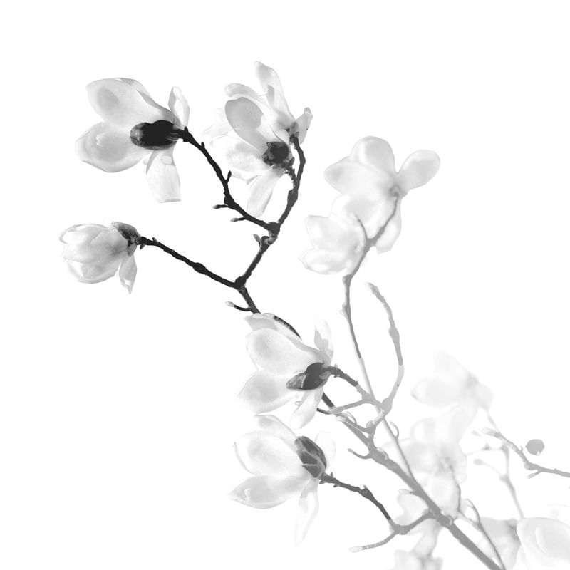 REAL NATURE 9