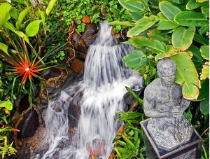 ESTUFA JARDIM BOTÂNICO - CURITIBA PR