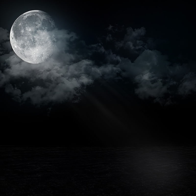NIGHT SEA