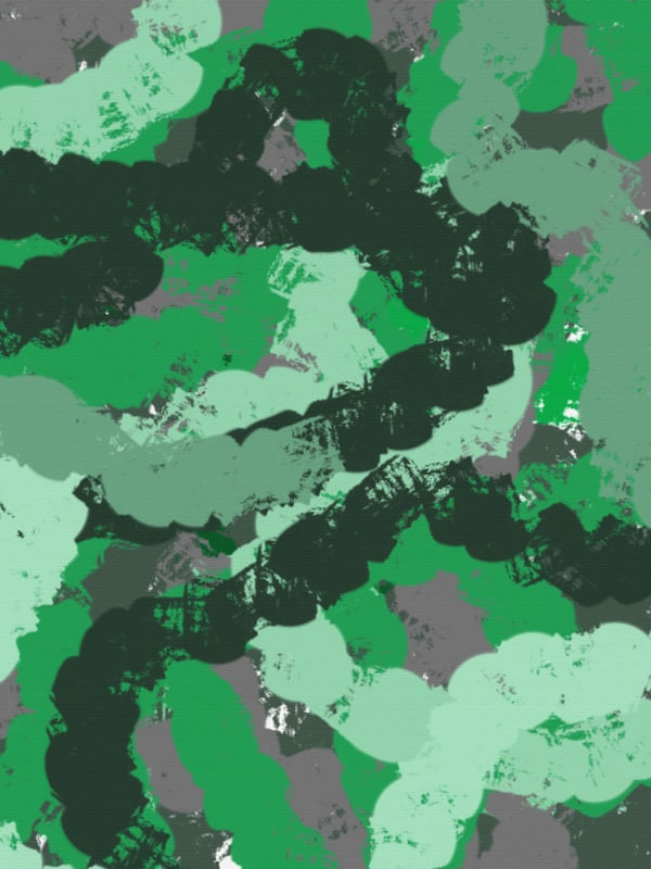CAMO PULSES