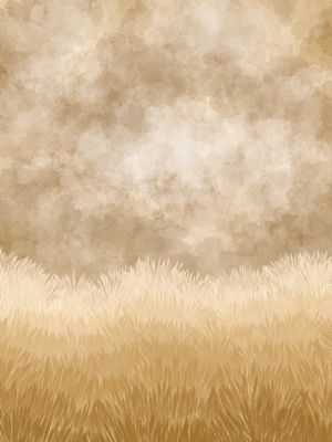 CAMPO TONS DE DOURADO
