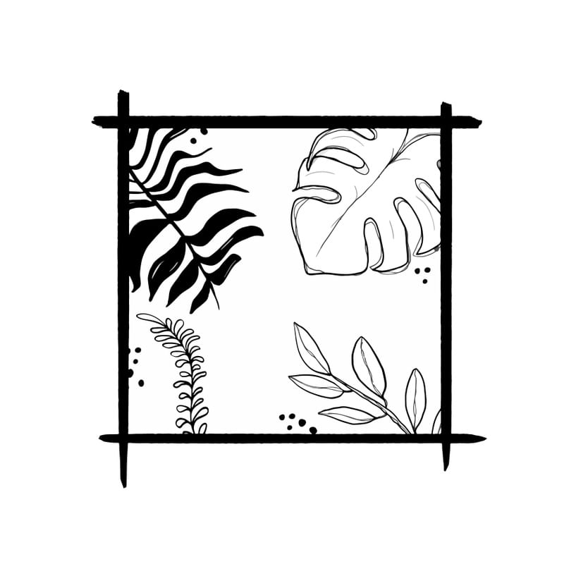 QUADRO TROPICAL
