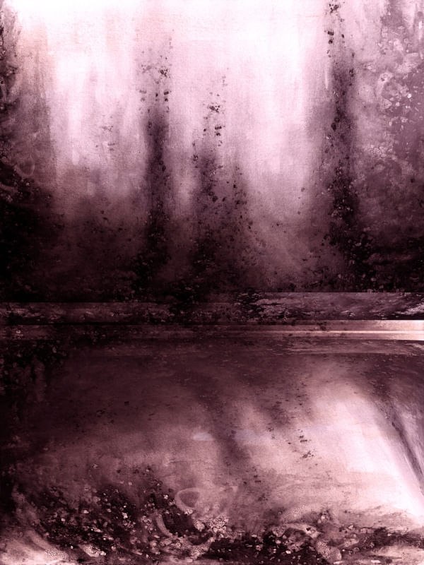 OBSCURITY VINHO BORGONHA - ABSTRATO ARVORES ATMOSFERICO FLORESTA PINTURA