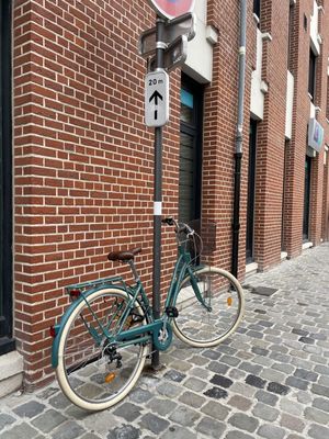 BICICLETA RETRÔ EM LILLE