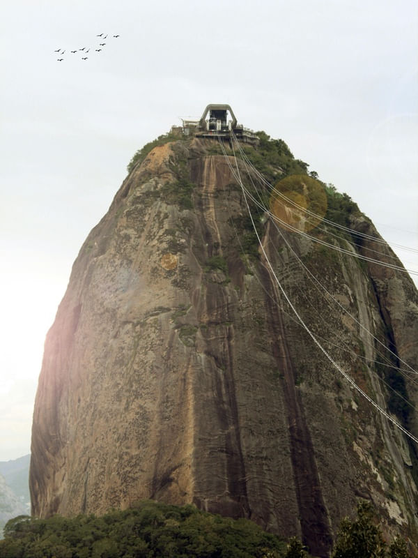 ANDORINHAS COM BONDINHO