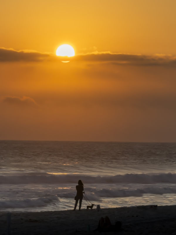 APRECIADO O POR DO SOL