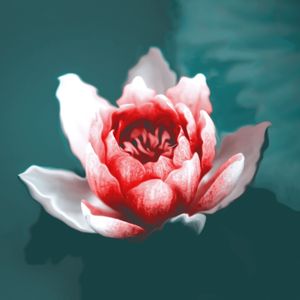 PAZ E LUZ 1