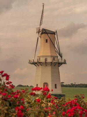 MOULIN À VENT 1