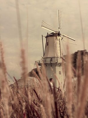 MOULIN À VENT 2