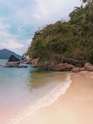 PARADISE 17