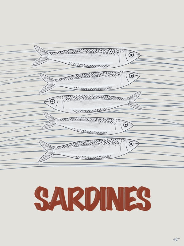 SARDINES SKETCH