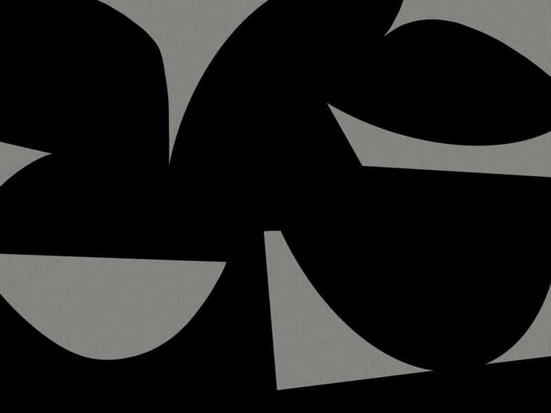 GEOMETRIC BICOLOR V01