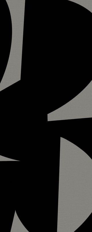 GEOMETRIC BICOLOR V03