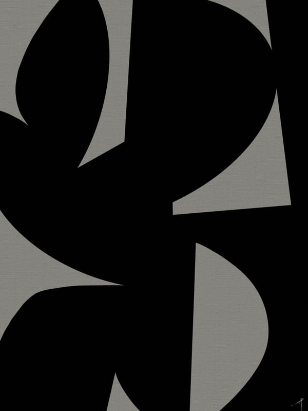 GEOMETRIC BICOLOR V06