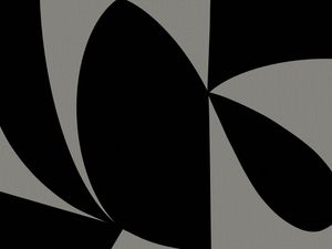 GEOMETRIC BICOLOR 2 V01
